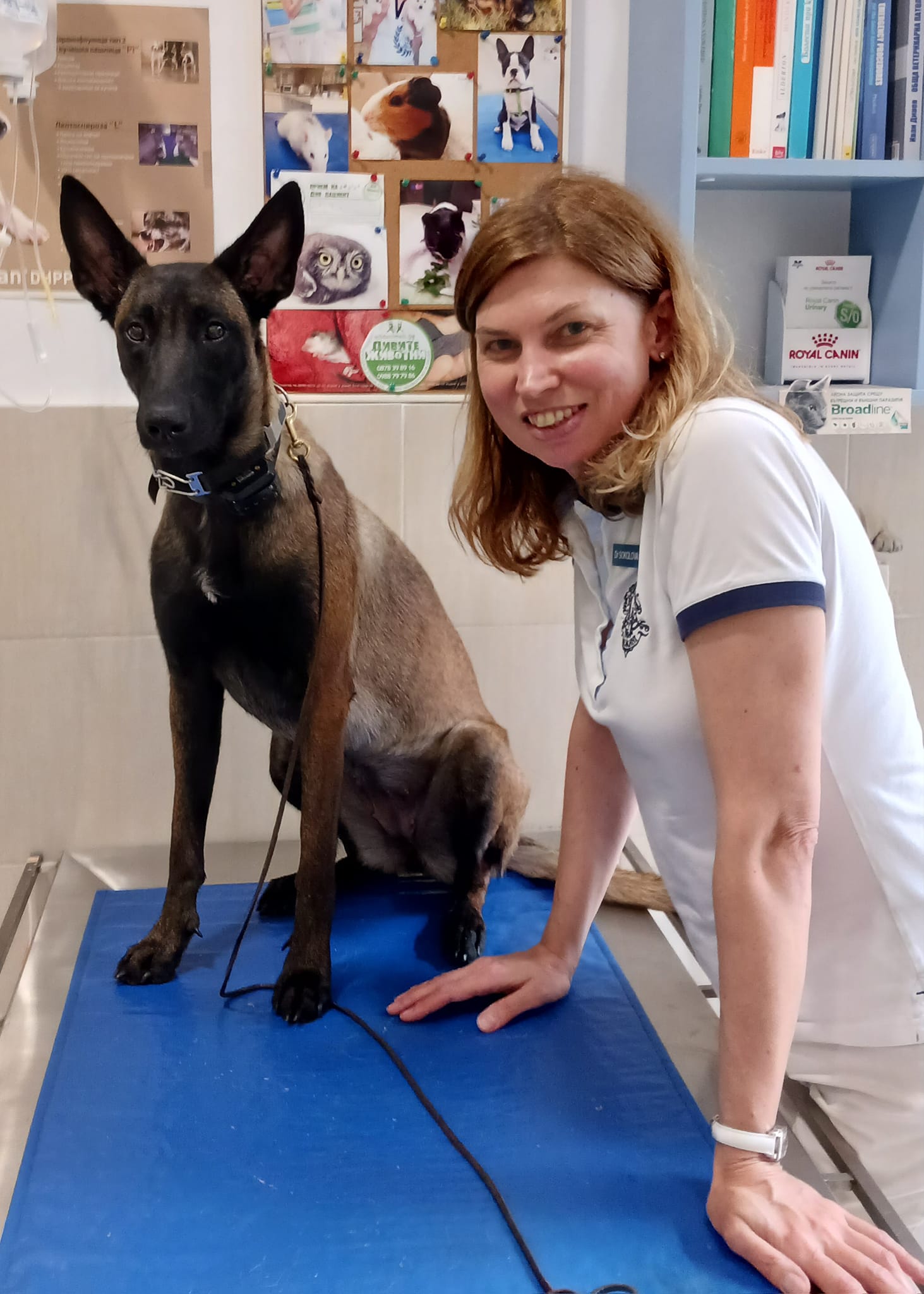 Алергии при домашните любимци